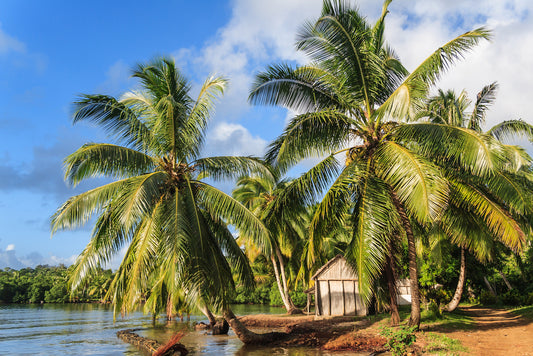 Regionerne i Madagaskar 2